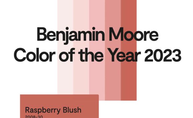 Introducing the Benjamin Moore Color of the Year 2023 near Saint Louis, Missouri (MO)